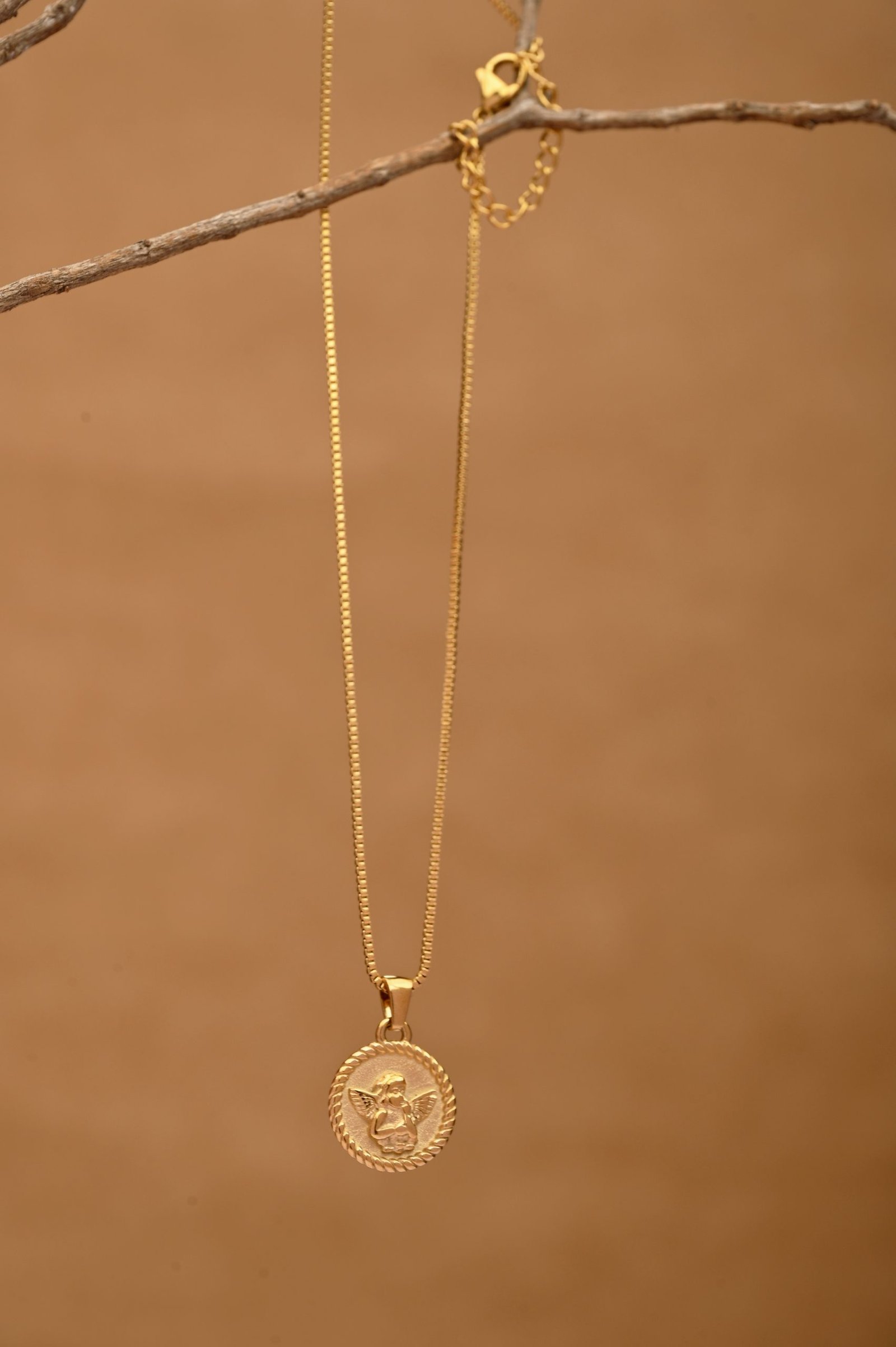 Guardian coin neckpiece Guardian Coin Necklace - Image 1