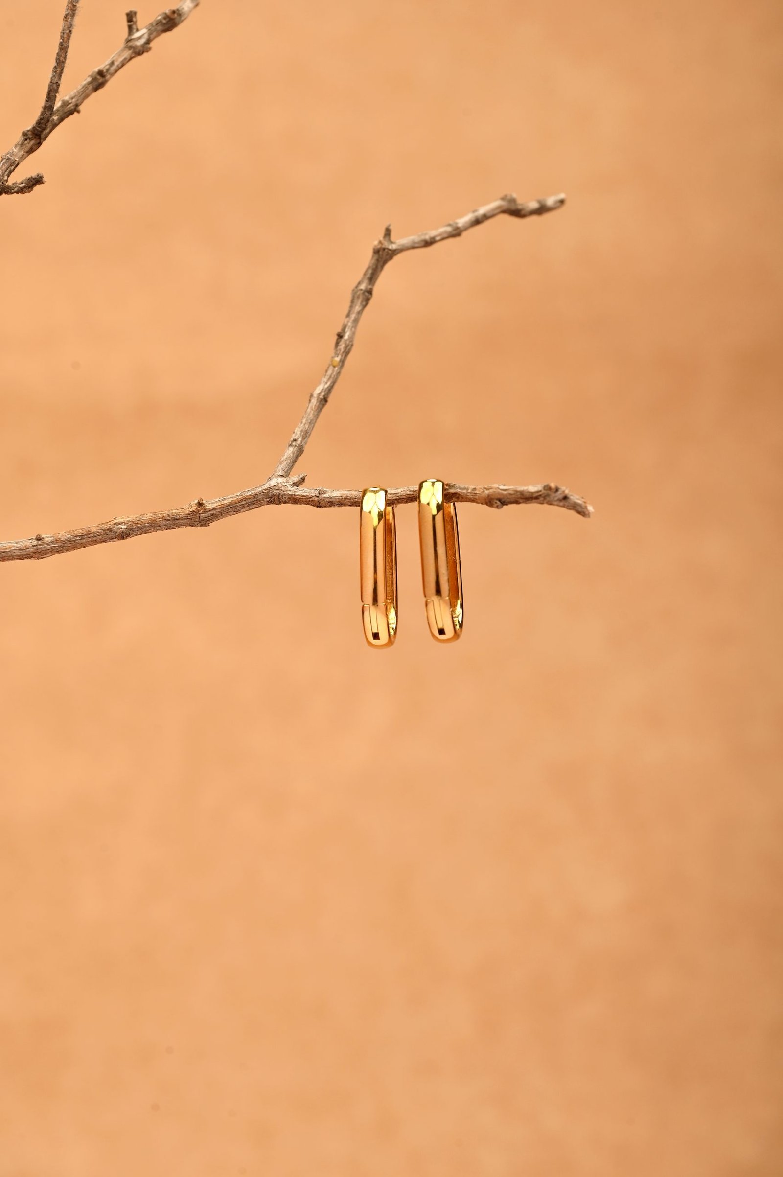 daily muse hoops Daily Muse Hoops Earring - Image 1